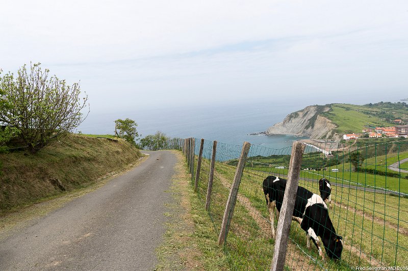 20160602_154334 D4S.jpg - View of the sea, Zumaia, Spain (1 lane very narrow road!!!)